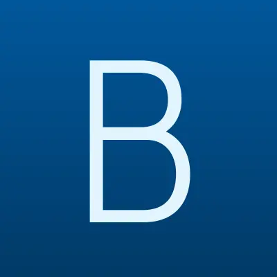 Багира, автомойка, лого-визитка