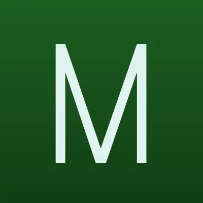 Мейджик Транс, транспортная компания, лого-визитка